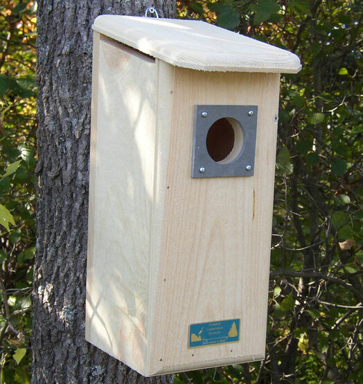 flicker-wooden-bird-house-yard-envy