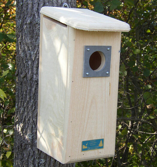 Flicker Wooden Bird House