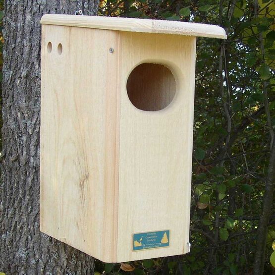 Black Bellied Whistling Wood Duck Bird House