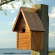 Starter Bird House