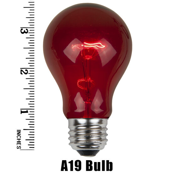 A19 Colored Party Bulbs, Multicolor