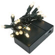 LED Battery Operated Lights, Warm White 5mm Bulbs, Green Wire