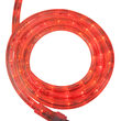 30' Red LED Rope Light, 120 Volt, 1/2"
