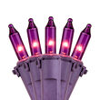 Premium Purple Passion Mini String Lights