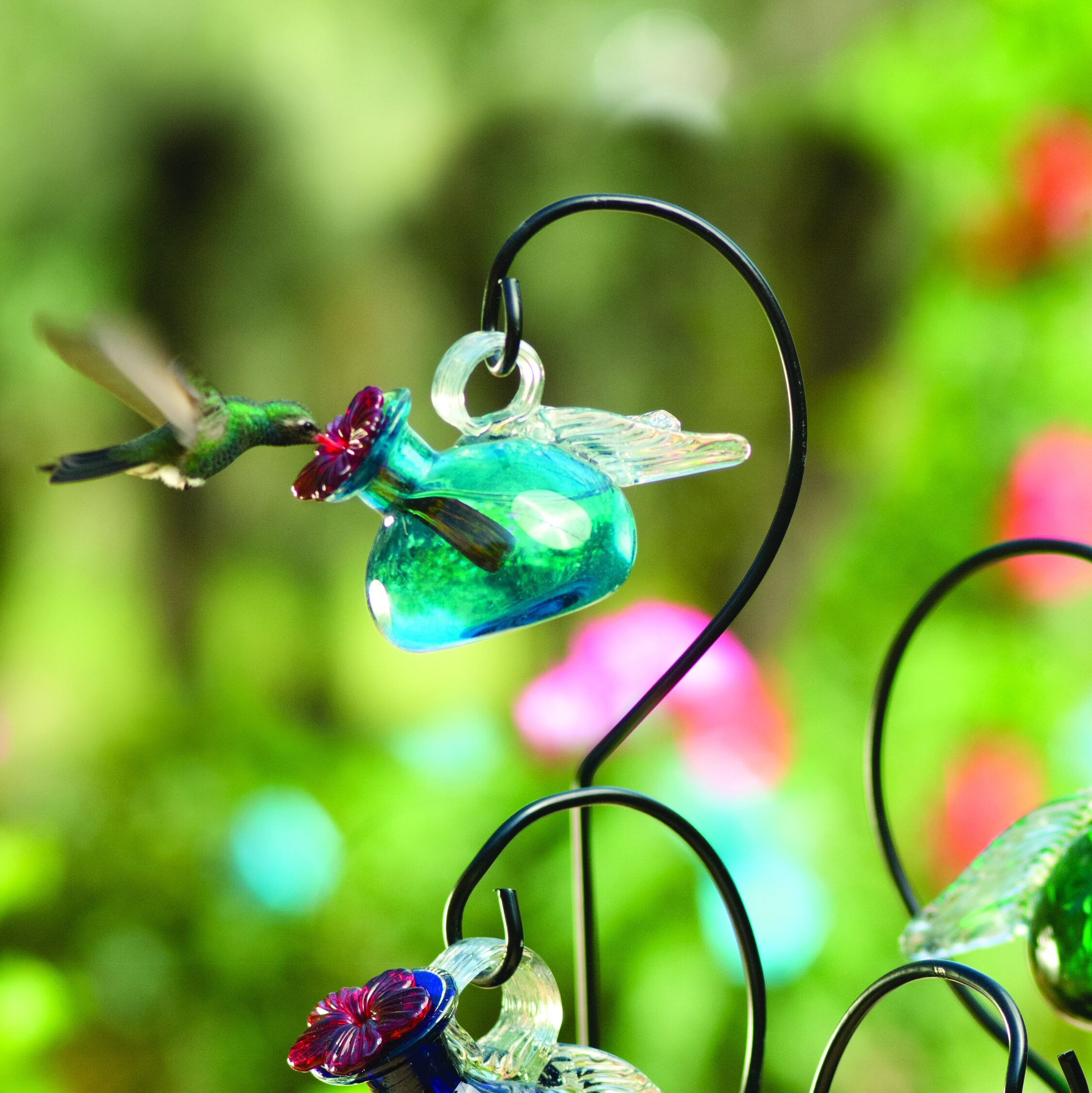 pixy glass pixy glass