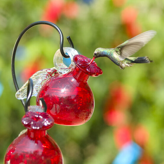 Pixie Hanging Glass Hummingbird Feeder