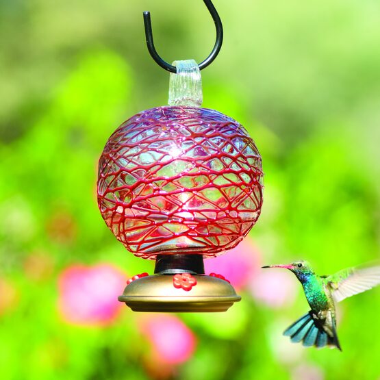 Dew Drop Spun Sugar Glass Hummingbird Feeder