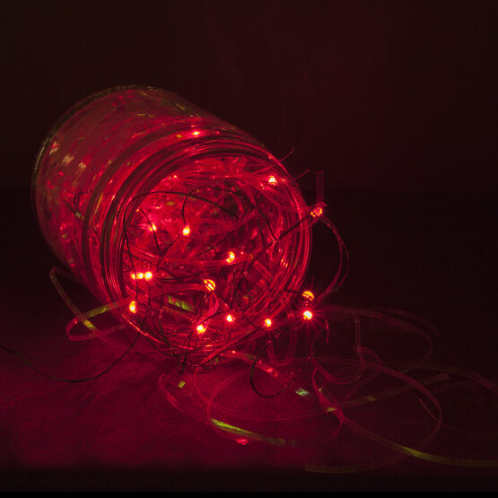 7' LED Fairy Lights, Red, Green Wire