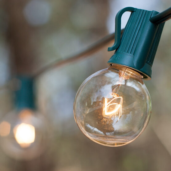 Globe String Lights, Clear G40 Bulbs, Green Wire - Yard Envy