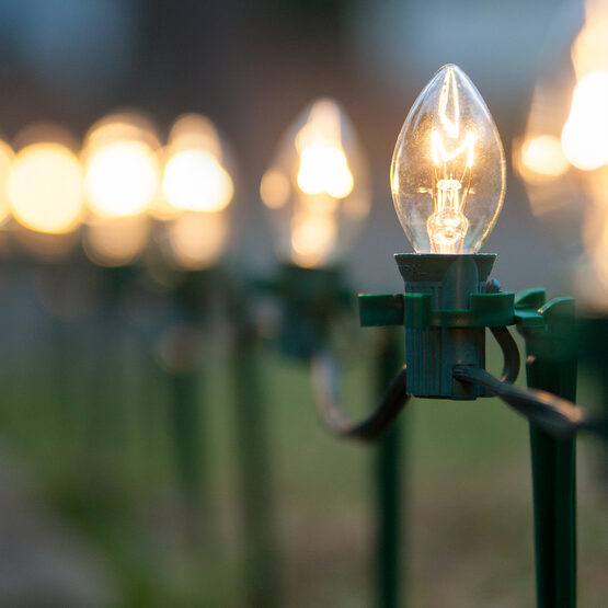 c7 pathway lights clear 7 5 stakes yard envy c7 pathway lights clear 7 5 stakes yard envy