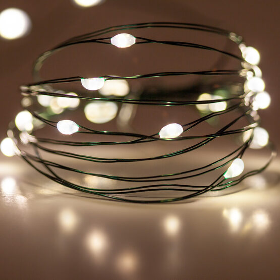 7' LED Fairy Lights, Warm White, Green Wire Yard Envy