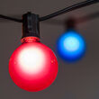 15' Globe String Lights, 15 Multicolor G50 Bulbs