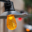 48' Cafe String Lights, 15 Multicolor S14 LED Bulbs