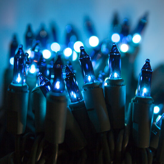 blue outdoor mini string lights