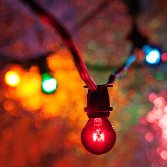 100' Outdoor Patio Light String, 75 Multicolor S11 Bulbs