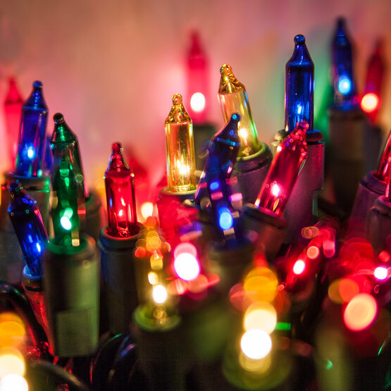 Standard Multicolor Mini String Lights - Yard Envy
