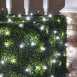 4' x 6' 5mm LED Net Lights, Cool White Twinkle, Green Wire