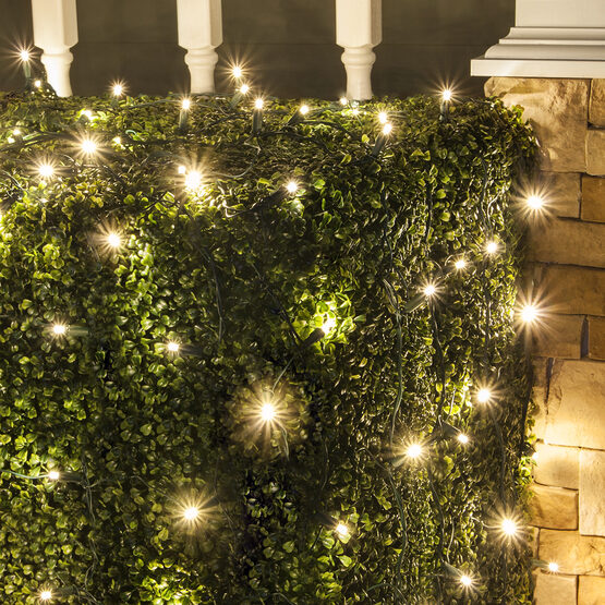 4' x 6' 5mm LED Net Lights, Warm White, Green Wire