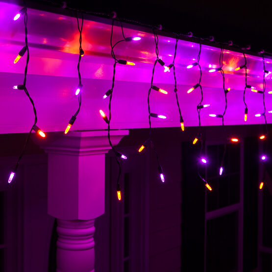 70 M5 Halloween LED Icicle Lights, Purple/Amber, Black Wire