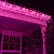 150 Icicle Lights, Purple, White Wire