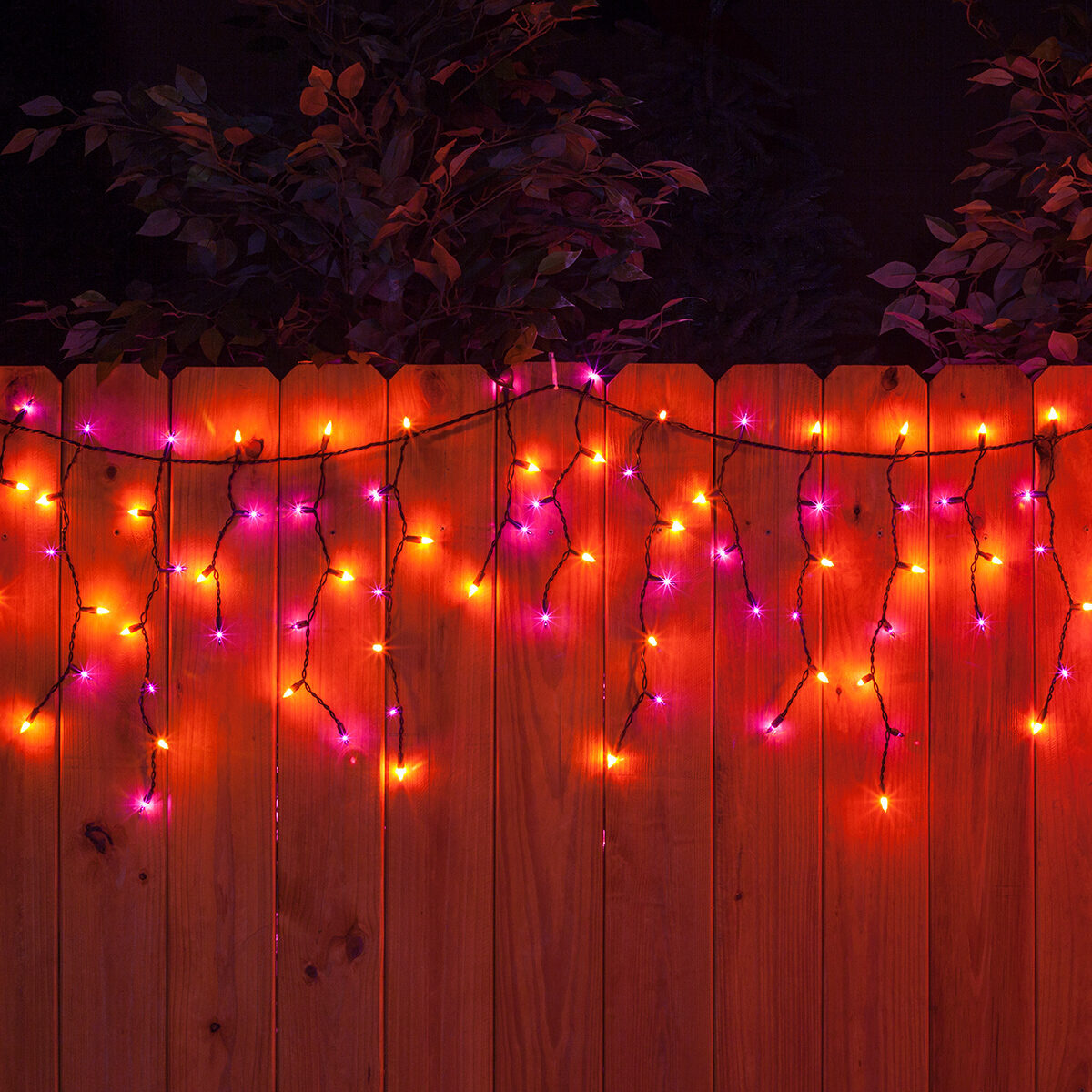 halloween lights