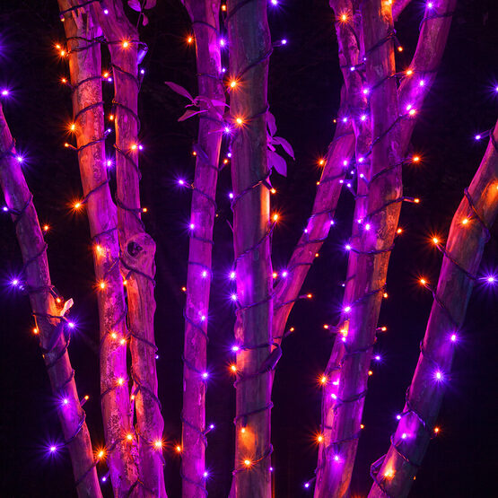 24' Wide Angle Halloween LED Mini Lights, Purple, Orange