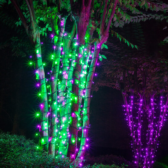 24' Wide Angle Halloween LED Mini Lights, Purple, Green