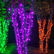 24' Wide Angle Halloween LED Mini Lights, Purple