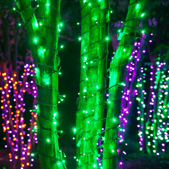 24' Wide Angle Halloween LED Mini Lights, Green