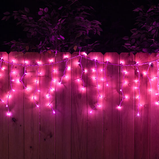 100 Icicle Lights, Purple, White Wire