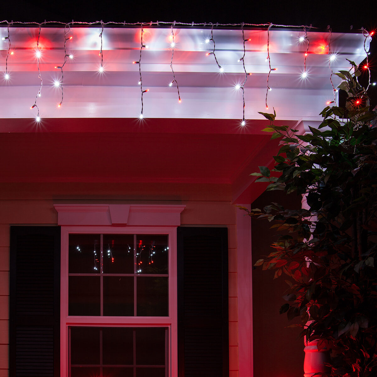 red and white icicle lights