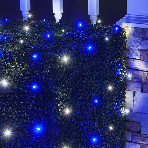 4' x 6' 5mm LED Net Lights, Blue, Cool White, Green Wire