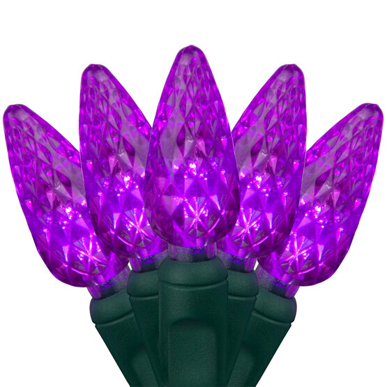 24' Strawberry LED String Lights, Purple, Green Wire