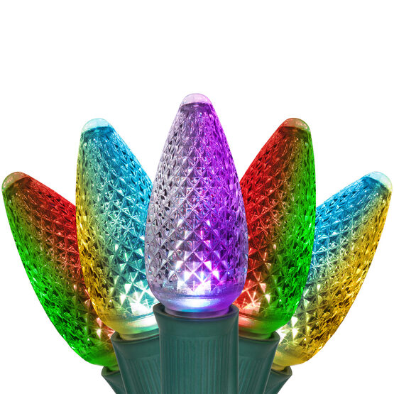 C9 Commercial LED String Lights, Color Change - Yard Envy