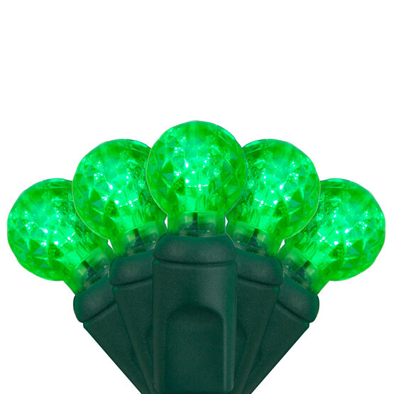 24' Raspberry LED String Lights, Green, Green Wire