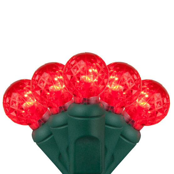 Raspberry LED String Lights, Red, Green Wire