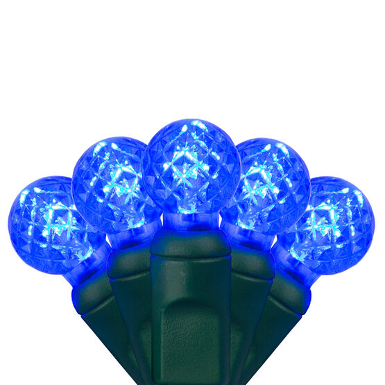 Raspberry LED String Lights, Blue, Green Wire