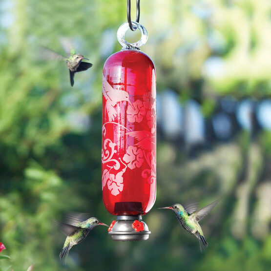 Flame Red Filigree Glass Hummingbird Feeder