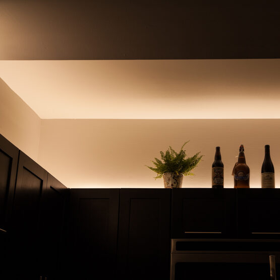 Champagne Warm White 24V LED Tape Light