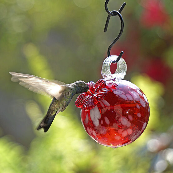 Red Pearl Drop Hummingbird Feeder Yard Envy