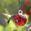 Red Pearl Drop Hummingbird Feeder