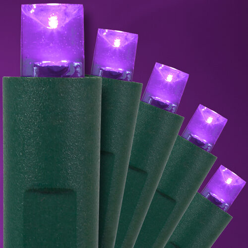 Purple Halloween String Lights, 50 ct, LED Mini