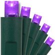 Purple Halloween String Lights, 50 ct, LED Mini