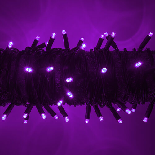 Purple Halloween String Lights, 50 ct, LED Mini