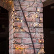 118" Brown Climbing Vine LED Lighted Branches, Warm White Lights, 1 pc