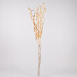 63" Cream Curly LED Lighted Branches, Warm White Lights, 1 pc