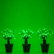 15" Green Starburst LED Lighted Branches, Green Twinkle Lights, 3 pc