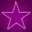 12" RGB LED Multifunction Flexible Neon Hanging Star Light