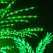 6' Classic Commercial LED Lighted Palm Tree with Green Canopy