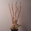 36" Brown Lighted Branches, Clear Rice Lights, 1 pc